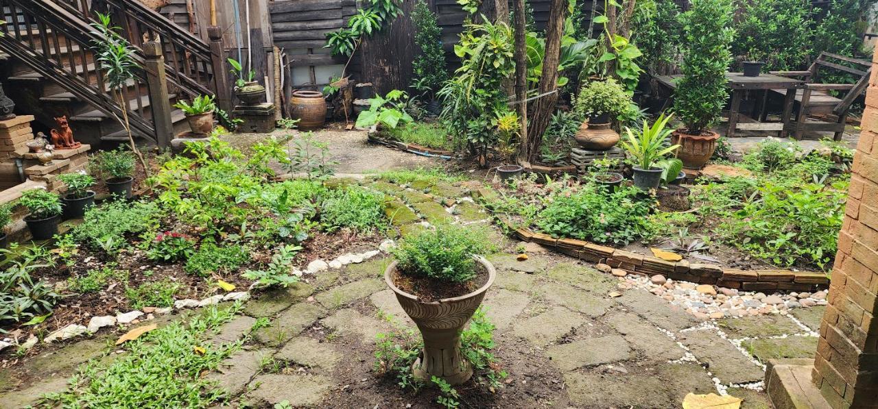 Albergue Cozy Nest Cnx Chiang Mai Exterior foto