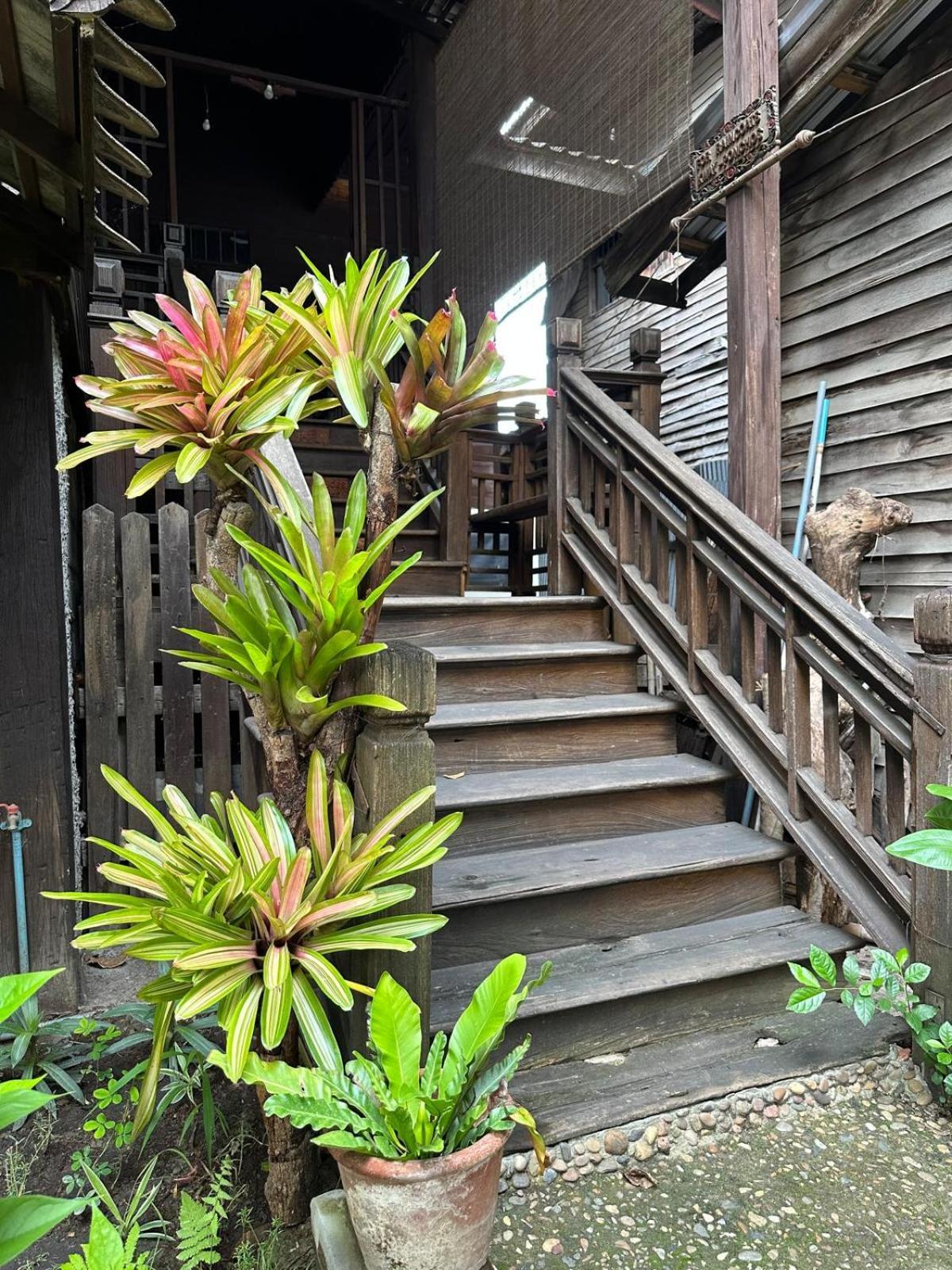 Albergue Cozy Nest Cnx Chiang Mai Exterior foto